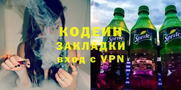 шишки Киренск