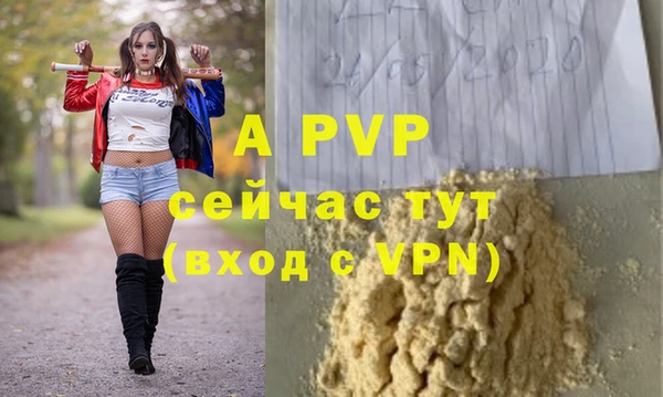 шишки Киренск