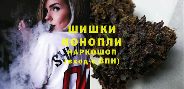 шишки Киренск