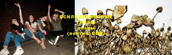 шишки Киренск
