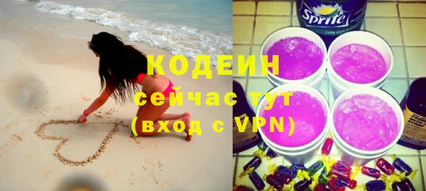 шишки Киренск
