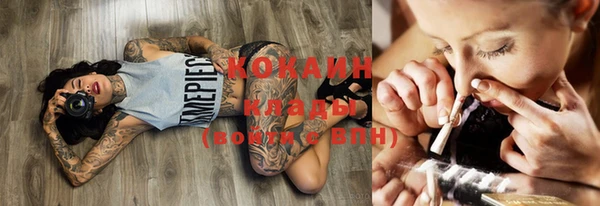 шишки Киренск